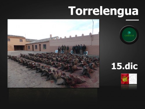 Torrelengua