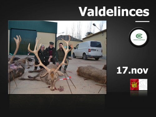 Valdelinces