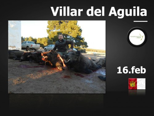 Villar del Aguila